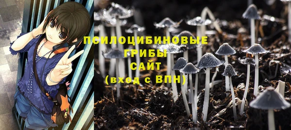 мдпв Нязепетровск