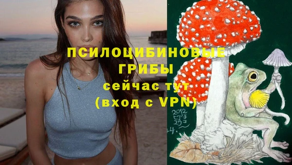 мдпв Нязепетровск