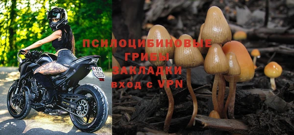 мдпв Нязепетровск