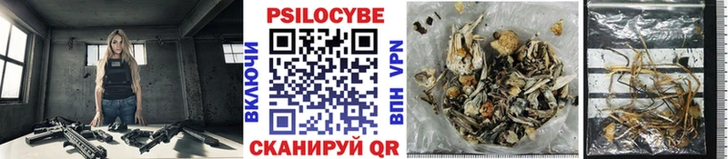 Галлюциногенные грибы Magic Shrooms  Купить закладки  Сасово 